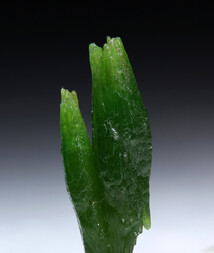 Deutschland/Sachsen/Mittelsachsen, Landkreis/Freiberg, Revier/Halsbrücke/Grube Beihilfe