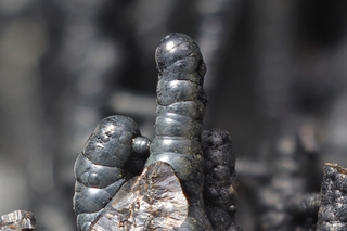 Deutschland/Baden-Württemberg/Karlsruhe, Bezirk/Enzkreis/Neuenbürg