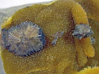 Deutschland/Sachsen-Anhalt/Jerichower Land/Gommern/Vehlitz/Tongrube Vehlitz