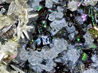 Deutschland/Rheinland-Pfalz/Vulkaneifel, Landkreis/Daun, Verbandsgemeinde/Üdersdorf/Löhley