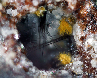 Deutschland/Rheinland-Pfalz/Mayen-Koblenz-Kreis/Pellenz, Verbandsgemeinde/Nickenich/Nickenicher Weinberg (Sattelberg)