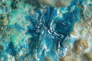 Österreich/Tirol/Kufstein, Bezirk/Wildschönau/Thierbach/Gratlspitz Ostseite/Kaiserbründl