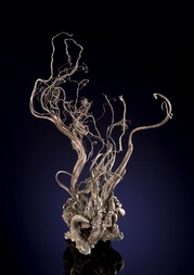 Deutschland/Sachsen/Mittelsachsen, Landkreis/Freiberg, Revier