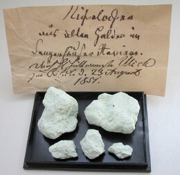 Deutschland/Sachsen-Anhalt/Mansfeld-Südharz, Landkreis/Sangerhausen