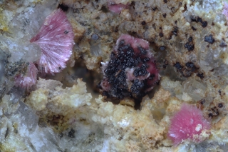 Deutschland/Baden-Württemberg/Freiburg, Bezirk/Rottweil, Landkreis/Schenkenzell, Gemeinde/Kaltbrunn, Ortsteil/Wittichen/Schmiedestollenhalde