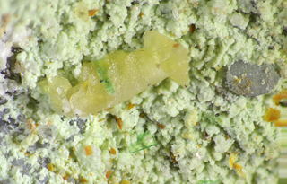 Deutschland/Sachsen/Vogtlandkreis/Bergen/Streuberg (Schacht 254)