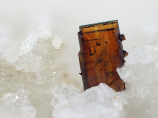 Österreich/Salzburg/Zell am See, Bezirk (Pinzgau)/Neukirchen am Großvenediger, Marktgemeinde/Sulzau, Katastralgemeinde/Obersulzbachtal/Hopffeldboden