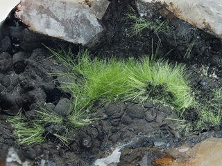 Deutschland/Baden-Württemberg/Freiburg, Bezirk/Ortenaukreis/Oberwolfach/Grube Clara