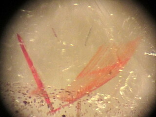 Deutschland/Bayern/Oberpfalz, Bezirk/Schwandorf, Landkreis/Wölsendorf, Revier/Lissenthan/Grube Hermine