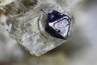 Deutschland/Rheinland-Pfalz/Vulkaneifel, Landkreis/Gerolstein, Verbandsgemeinde/Hillesheim/Steinbruch Stolz (Graulai; Graulay)