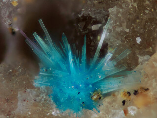 Spanien/Andalusien (Andalucía)/Almería, Provinz/Metropolitana de Almería, Comarca/Níjar, Municipio/Nationalpark Cabo de Gata-Nijar/Rodalquilar/Maria Josefa Mine