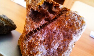 Deutschland/Niedersachsen/Osnabrück, Landkreis/Bramsche/Ueffeln/Steinbrüche im Gehn