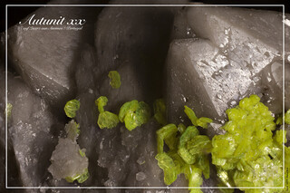 Portugal/Viseu, Distrito/Sátão, Município/Ferreira de Aves/Aldeia Nova/Assuncao Mine