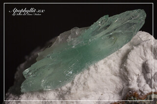 Indien/Maharashtra/Pune (Poona), Distrikt