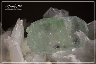 Indien/Maharashtra/Pune (Poona), Distrikt