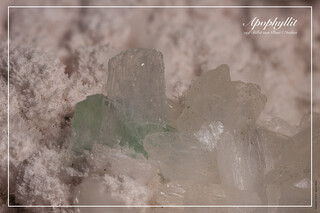 Indien/Maharashtra/Pune (Poona), Distrikt