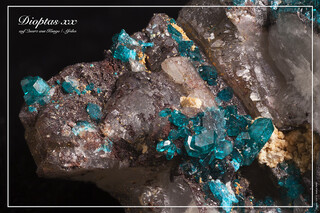 Demokratische Republik Kongo