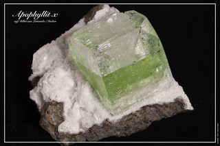 Indien/Maharashtra/Pune (Poona), Distrikt/Lonavale (Lonavala)