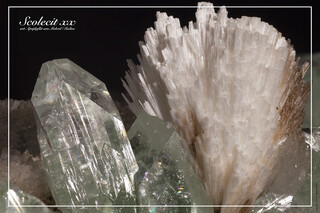 Indien/Maharashtra/Raigad, Distrikt/Mahad