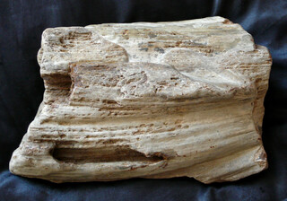 Österreich/Niederösterreich/Hollabrunn, Bezirk/Maissau, Stadtgemeinde