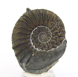 Deutschland/Bayern/Oberfranken, Bezirk/Forchheim, Landkreis/Eggolsheim, Gemeinde/Unterstürmig, Ortsteil/Tongrube