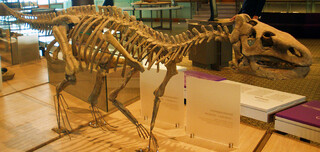 Rumänien/Hunedoara, Kreis