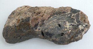 Österreich/Niederösterreich/Hollabrunn, Bezirk/Maissau, Stadtgemeinde