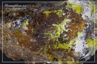 Deutschland/Baden-Württemberg/Freiburg, Bezirk/Waldshut, Landkreis/St. Blasien, Stadtgemeinde/Menzenschwand, Ortsteil