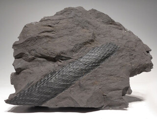 Polen/Schlesien (Oberschlesien; Slaskie), Woiwodschaft/Oberschlesisches Kohlebecken