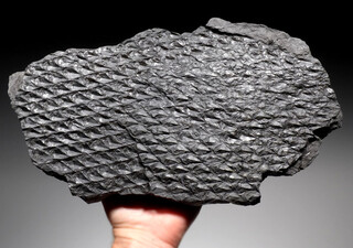 Polen/Schlesien (Oberschlesien; Slaskie), Woiwodschaft/Oberschlesisches Kohlebecken