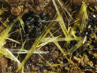 Deutschland/Baden-Württemberg/Freiburg, Bezirk/Waldshut, Landkreis/St. Blasien, Stadtgemeinde/Menzenschwand, Ortsteil