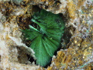 Deutschland/Thüringen/Ilm-Kreis/Gehren