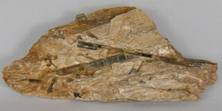 Schweiz/Tessin, Kanton/Leventina, Bezirk/Quinto, Kreis/Dalpe/Pizzo Forno