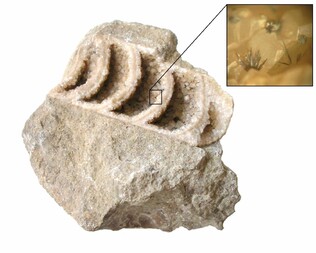 Deutschland/Brandenburg/Märkisch-Oderland, Landkreis/Bad Freienwalde/Hohenwutzen/Kieswerk Hohensaaten-Lunow