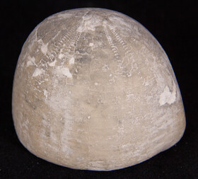 Deutschland/Niedersachsen/Hannover, Region/Sehnde/Höver