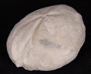 Deutschland/Niedersachsen/Hannover, Region