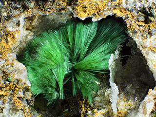 Deutschland/Thüringen/Ilm-Kreis/Gehren