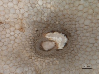 Deutschland/Bayern/Unterfranken, Bezirk/Haßberge, Landkreis/Haßfurt