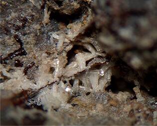 Bolivien/Potosí, Departamento/Antonio Quijarro, Provinz/El Dragón Mine