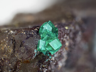 Demokratische Republik Kongo