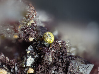 Demokratische Republik Kongo