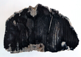 Slowakei/Trenčín kraj/Partizánske, Okres/Partizánske