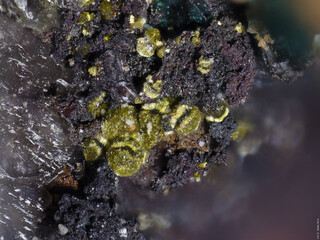 Demokratische Republik Kongo