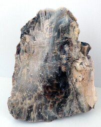 USA/Nevada/Elko County/Fallory