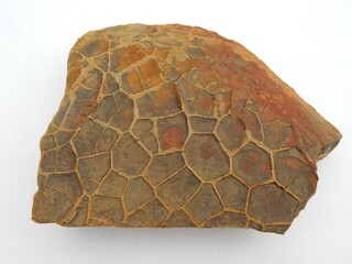 Deutschland/Niedersachsen/Göttingen, Landkreis/Bad Grund, Gemeinde/Bergstadt Bad Grund, Ortsteil/Steinbruch Winterberg