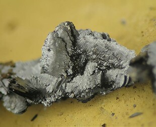 Deutschland/Niedersachsen/Peine, Landkreis/Bülten-Adenstedt/Grube Emilie (Grube Bülten-Adenstedt)