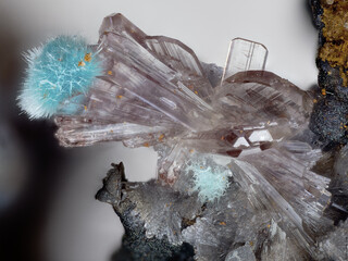 Mexiko/Durango, Estado