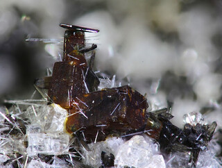Deutschland/Rheinland-Pfalz/Vulkaneifel, Landkreis/Gerolstein, Verbandsgemeinde/Hillesheim, Stadtgemeinde/Zilsdorf/Kahlenberg