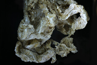 Frankreich/Auvergne-Rhône-Alpes, Région/Isère, Département/Grenoble, Arrondissement/Allevard, Gemeinde