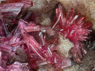 Mexiko/Coahuila, Estado/Melchor Múzquiz, Municipio